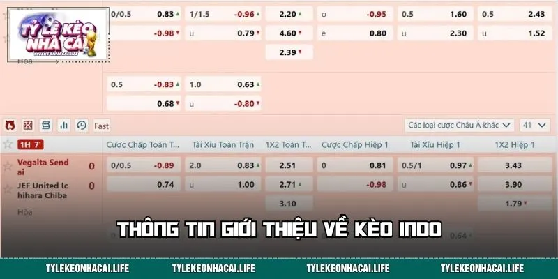 Thông tin giới thiệu về kèo Indo